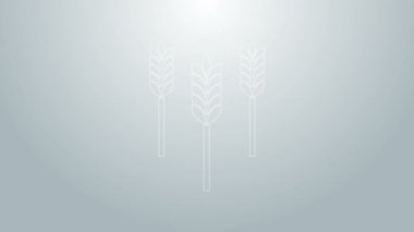 Mavi çizgili mısır gevrekleri; pirinç, buğday, mısır, yulaf, çavdar, gri arka planda izole edilmiş arpa ikonu. Buğday ekmeği sembolleri. 4K Video hareketli grafik canlandırması