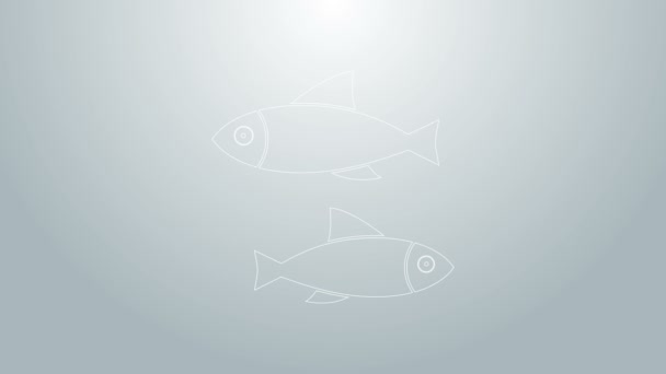 Ligne bleue Icône poisson isolé sur fond gris. Animation graphique de mouvement vidéo 4K — Video