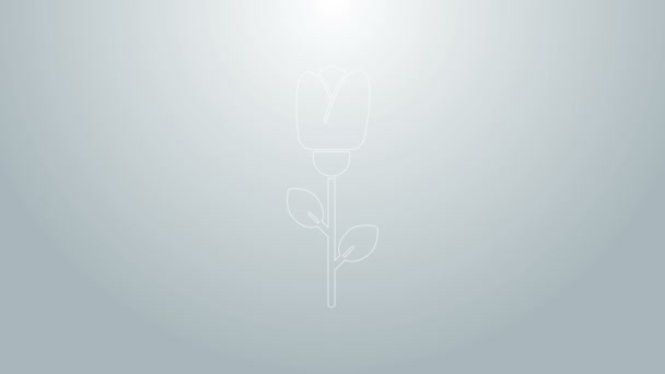 蓝色线玫瑰图标孤立在灰色背景 4k视频运动图形动画 图库视频影像 C Vectorvalera Gmail Com 蓝色线玫瑰图标孤立在灰色背景 4k视频运动图形动画 图库视频影像 C Vectorvalera Gmail Com