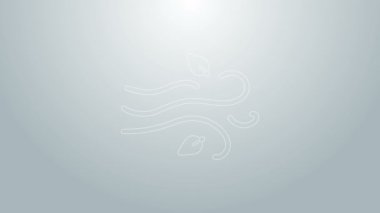 Mavi çizgi rüzgâr simgesi gri arkaplanda izole edildi. Rüzgarlı bir hava. 4K Video hareketli grafik canlandırması