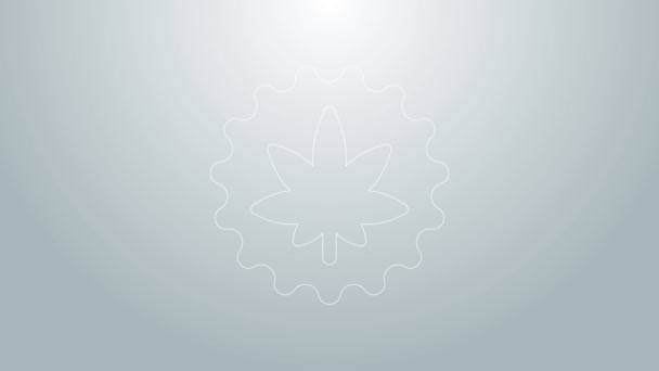 Blauwe lijn Medische marihuana of cannabis blad icoon geïsoleerd op grijze achtergrond. Hennep symbool. 4K Video motion grafische animatie — Stockvideo