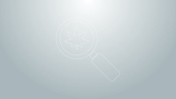 Blå linje Förstoringsglas och medicinsk marijuana eller cannabis blad ikon isolerad på grå bakgrund. Hampa symbol. 4K Video motion grafisk animation — Stockvideo