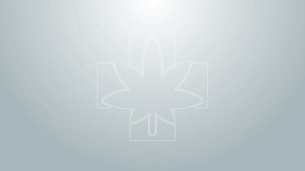 Blå linje Medicinsk marijuana eller cannabis blad ikon isolerad på grå bakgrund. Hampa symbol. 4K Video motion grafisk animation — Stockvideo