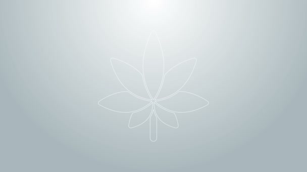 Línea azul Icono de marihuana medicinal o hoja de cannabis aislado sobre fondo gris. Un símbolo de cáñamo. Animación gráfica de vídeo 4K — Vídeos de Stock