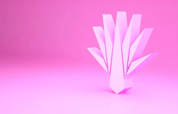 Ícone Agave rosa isolado no fundo rosa. Fábrica mexicana tradicional. Conceito de minimalismo. 3D ilustração 3D render — Fotografia de Stock