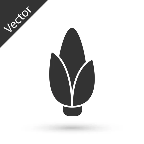 Icono Maíz Gris Aislado Sobre Fondo Blanco Vector — Vector de stock