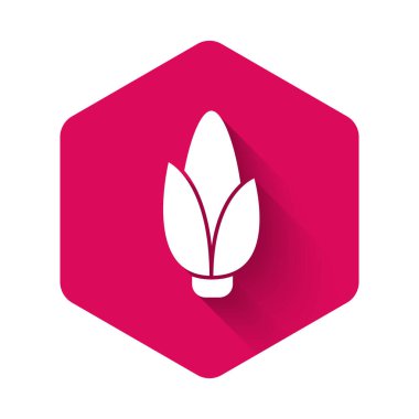 Beyaz Mısır simgesi uzun gölge arkaplan izole. Pembe altıgen düğmesi. Vektör