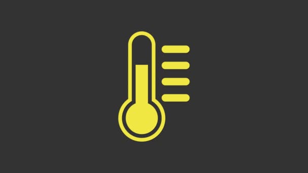 灰色の背景に隔離された黄色の温度計アイコン。4Kビデオモーショングラフィックアニメーション — ストック動画