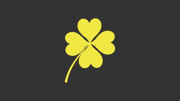 Ikona jetele žlutého čtyřlístku izolovaná na šedém pozadí. Šťastný den svatého Patrika. Grafická animace pohybu videa 4K — Stock video