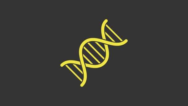 Gele DNA symbool pictogram geïsoleerd op grijze achtergrond. 4K Video motion grafische animatie — Stockvideo