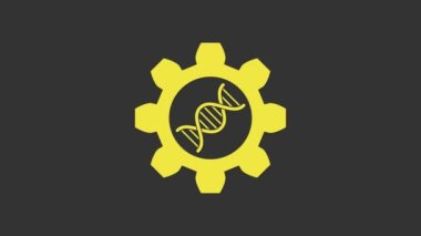 Sarı Genetik Mühendisliği simgesi gri arkaplanda izole edildi. DNA analizi, genetik testler, klonlama, babalık testi. 4K Video hareketli grafik canlandırması