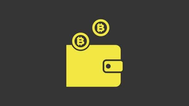 Żółta ikona portfela kryptowaluta izolowana na szarym tle. Portfel i znak bitcoina. Koncepcja górnicza. Pieniądze, płatność, gotówka, ikona płatności. 4K Animacja graficzna ruchu wideo — Wideo stockowe