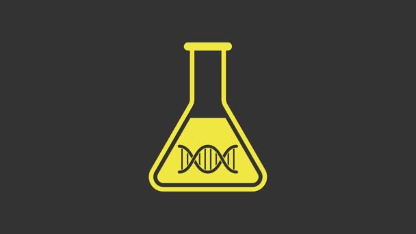 Recherche ADN jaune, icône de recherche isolée sur fond gris. Génie génétique, tests génétiques, clonage, tests de paternité. Animation graphique de mouvement vidéo 4K — Video