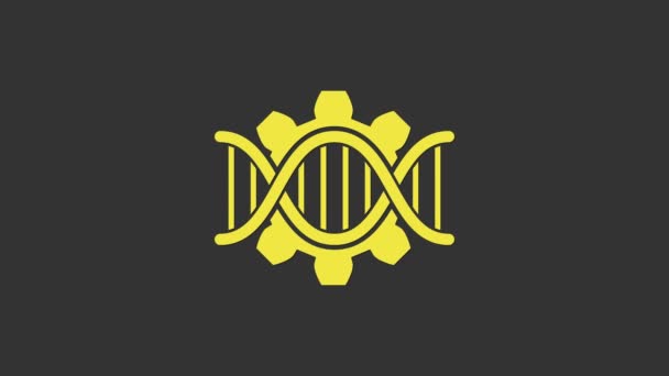 灰色の背景に単離された黄色の遺伝子工学アイコン.DNA分析、遺伝学的検査、クローニング、親の検査。4Kビデオモーショングラフィックアニメーション — ストック動画