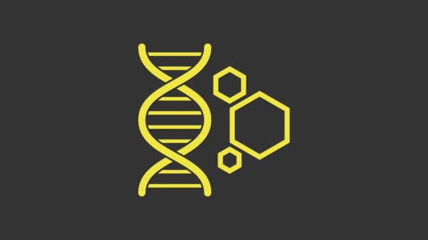 Ícone de engenharia genética amarelo isolado em fundo cinza. Análise de ADN, testes genéticos, clonagem, testes de paternidade. Animação gráfica em movimento de vídeo 4K — Vídeo de Stock