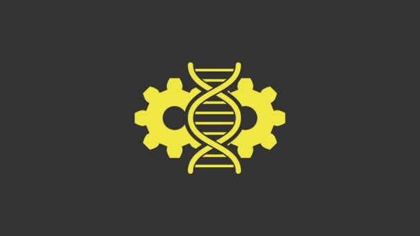 Ícone de edição do gene amarelo isolado no fundo cinza. Engenharia genética. Pesquisa de ADN, pesquisa. Animação gráfica em movimento de vídeo 4K — Vídeo de Stock