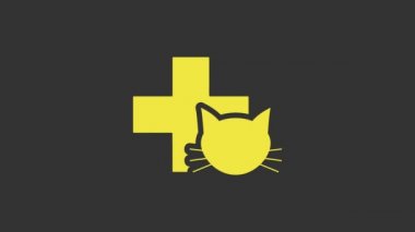 Sarı Veterinerlik Kliniği sembolü gri arka planda izole edilmiş. Kedi veterinerliği ile karşılaştır. Evcil hayvan ilk yardım işareti. 4K Video hareketli grafik canlandırması