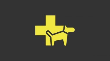 Sarı Veterinerlik Kliniği sembolü gri arka planda izole edilmiş. Köpek veterinerliği ile karşılaştır. Evcil hayvan ilk yardım işareti. 4K Video hareketli grafik canlandırması