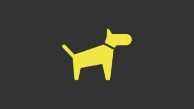 Sarı Köpek simgesi gri arkaplanda izole edildi. 4K Video hareketli grafik canlandırması
