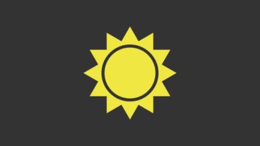 Sarı Güneş simgesi gri arkaplanda izole edildi. 4K Video hareketli grafik canlandırması