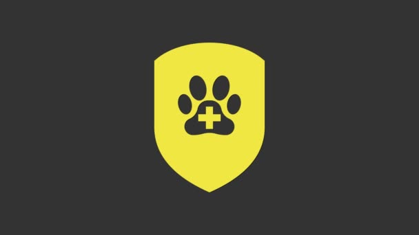 Κίτρινη εικόνα ασφάλισης υγείας των ζώων απομονώνεται σε γκρι φόντο. Εικονίδιο προστασίας ζώων. Αποτυπώματα σκύλου ή γάτας. 4K Γραφική κίνηση κίνησης βίντεο — Αρχείο Βίντεο