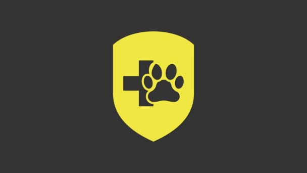 Žlutá ikona veterinárního pojištění izolovaná na šedém pozadí. Ikona ochrany zvířat. Otisk psí nebo kočičí tlapky. Grafická animace pohybu videa 4K — Stock video