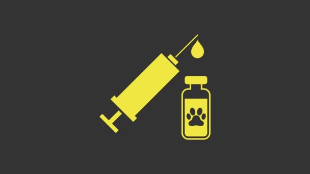Žlutá stříkačka s ikonou očkovací látky pro zvířata v zájmovém chovu izolovaná na šedém pozadí. Otisk psí nebo kočičí tlapky. Grafická animace pohybu videa 4K — Stock video