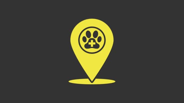 Žlutá Ukazatel mapy s veterinární medicínou nemocnice, klinika nebo pet shop pro zvířata ikony izolované na šedém pozadí. Veterinární nebo veterinární klinika. Grafická animace pohybu videa 4K — Stock video