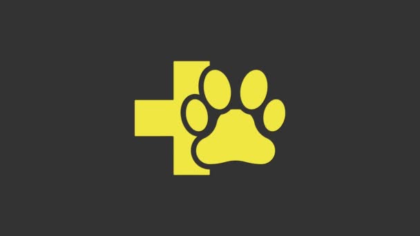 Желтый символ ветеринарной клиники выделен на сером фоне. Кросс больничный знак. Стилизованный отпечаток лапы собаки или кошки. Знак "Скорая помощь для домашних животных". Видеографическая анимация 4K — стоковое видео