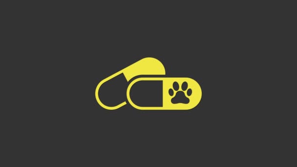 Perro amarillo y píldoras icono aislado sobre fondo gris. Medicina de prescripción para animales. Animación gráfica de vídeo 4K — Vídeo de stock