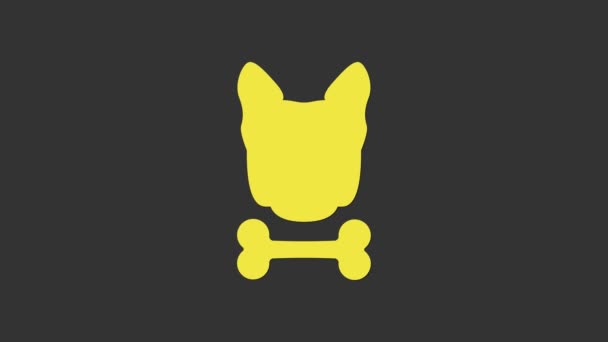 Κίτρινη εικόνα σκύλου και οστού που απομονώνεται σε γκρι φόντο. Ζώα συντροφιάς σύμβολο τροφίμων. 4K Γραφική κίνηση κίνησης βίντεο — Αρχείο Βίντεο