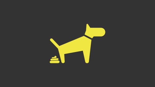 Icono de caca de perro amarillo aislado sobre fondo gris. El perro va al baño. El perro defeca. El concepto de lugar para caminar mascotas. Animación gráfica de vídeo 4K — Vídeos de Stock