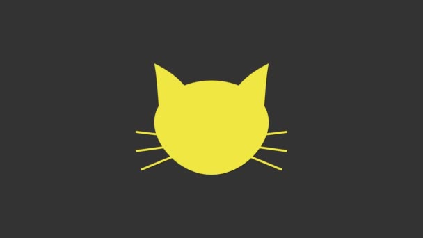 Yellow Cat icon isolated on grey background. 4K Video motion graphic animation — Stock Video