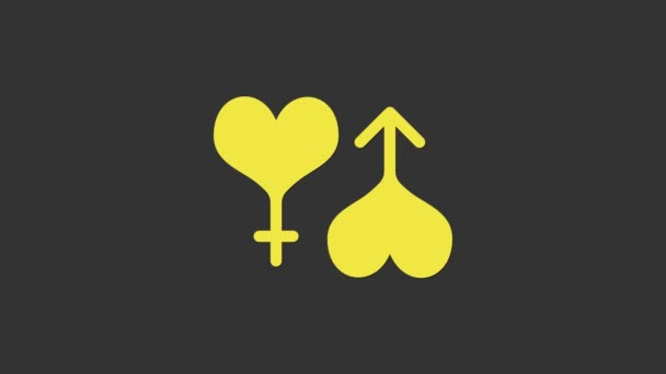 灰色の背景に隔離された黄色の男性と女性のシンボルハートアイコン。ジェンダーのシンボル。4Kビデオモーショングラフィックアニメーション — ストック動画