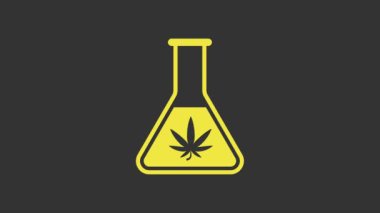 Esrar ya da kenevir yaprağı ikonlu sarı kimyasal test tüpü gri arka planda izole edilmiş. Araştırma konsepti. Laboratuvar CBD yağ konsepti. 4K Video hareketli grafik canlandırması