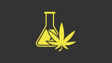 Esrar ya da kenevir yaprağı ikonlu sarı kimyasal test tüpü gri arka planda izole edilmiş. Araştırma konsepti. Laboratuvar CBD yağ konsepti. 4K Video hareketli grafik canlandırması