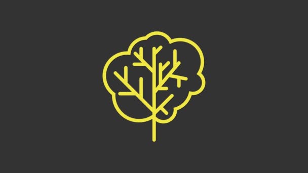 Icône d'arbre jaune isolée sur fond gris. Symbole forestier. Animation graphique de mouvement vidéo 4K — Video