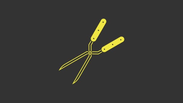 Желтые садовые ножницы ручной работы для обрезки иконки изолированы на сером фоне. Обрезка ножниц с деревянными ручками. Видеографическая анимация 4K — стоковое видео