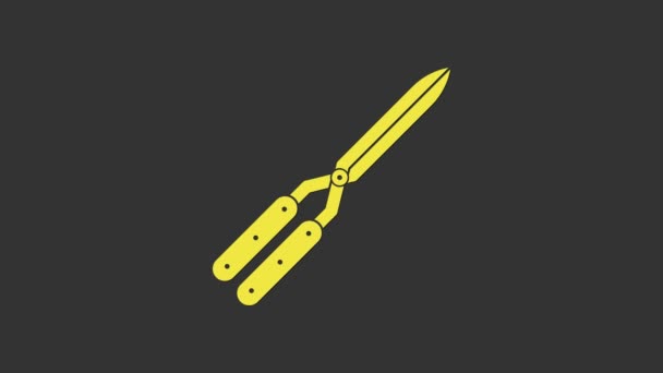Żółte nożyczki ogrodowe do przycinania ikony odizolowane na szarym tle. Nożyce do przycinania z drewnianymi uchwytami. 4K Animacja graficzna ruchu wideo — Wideo stockowe