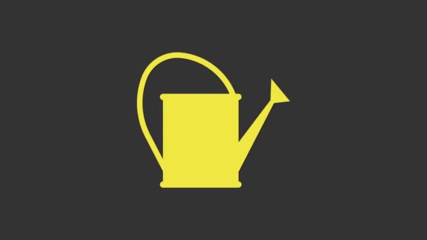 Annaffiatoio giallo icona isolata su sfondo grigio. Simbolo di irrigazione. Animazione grafica 4K Video motion — Video Stock