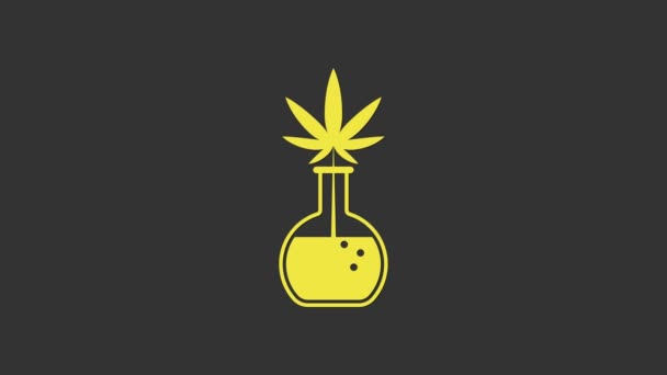 Yellow Chemical test tube with marijuana or cannabis leaf icon isolated on grey background. Research concept. Laboratory CBD oil concept. 4K Video motion graphic animation — Stock Video