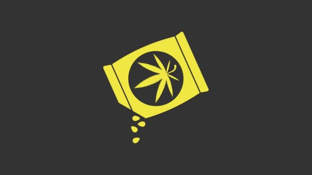Gelbe Marihuana-oder Cannabis-Samen in einer Tüte Symbol isoliert auf grauem Hintergrund. Hanf-Symbol. Der Prozess des Anbaus von Marihuana. 4K Video Motion Grafik Animation — Stockvideo