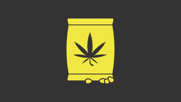 Marihuana amarilla o semillas de cannabis en una bolsa icono aislado sobre fondo gris. Un símbolo de cáñamo. El proceso de plantación de marihuana. Animación gráfica de vídeo 4K — Vídeo de stock