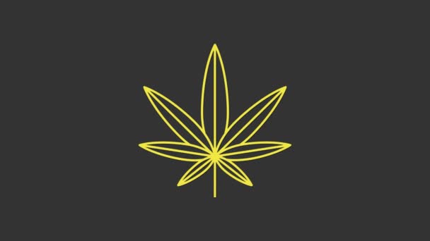 Желтая медицинская марихуана или икона листьев конопли изолированы на сером фоне. Символ конопли. Видеографическая анимация 4K — стоковое видео
