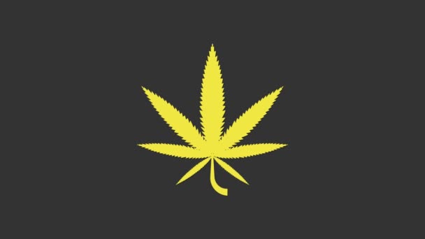 Icono amarillo de marihuana medicinal o hoja de cannabis aislado sobre fondo gris. Un símbolo de cáñamo. Animación gráfica de vídeo 4K — Vídeos de Stock