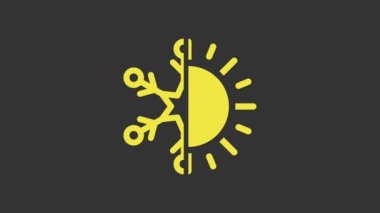 Sarı Sıcak ve Soğuk sembolü. Gri arkaplanda güneş ve kar tanesi ikonu izole edildi. Kış ve yaz sembolü. 4K Video hareketli grafik canlandırması