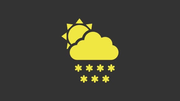 Желтое облако со снегом и иконкой солнца изолированы на сером фоне. Облако со снежинками. Единая икона погоды. Снежный знак. Видеографическая анимация 4K — стоковое видео