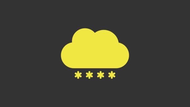 Żółta chmura z ikoną śniegu na szarym tle. Chmura z płatkami śniegu. Pojedyncza ikona pogody. Znak śniegu. 4K Animacja graficzna ruchu wideo — Wideo stockowe
