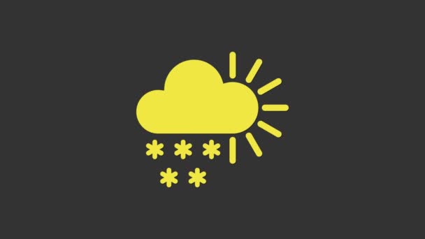 Nublado amarillo con icono de nieve aislado sobre fondo gris. Nube con copos de nieve. Icono de tiempo único. Signo de niebla. Animación gráfica de vídeo 4K — Vídeo de stock