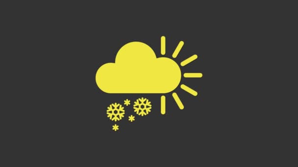 Желтая Облачность со снежной иконкой на сером фоне. Облако со снежинками. Единая икона погоды. Снежный знак. Видеографическая анимация 4K — стоковое видео